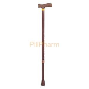Walking Stick (Silver, Brown)